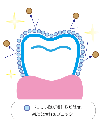ポリリン酸が汚れをとりブロックする